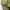 GAP Vintage Streetwear Jumper Pria green photo 4