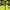 Columbia Gorpcore Sportswear Windbreaker Pria green black photo 4