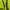 Columbia Gorpcore Sportswear Windbreaker Pria green black photo 7
