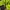 Columbia Gorpcore Sportswear Windbreaker Pria green black photo 6