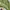 Berghaus Gorpcore Sportswear Windbreaker Pria green gray photo 4