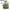 Berghaus Gorpcore Sportswear Windbreaker Pria green gray photo 3