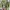 Berghaus Gorpcore Sportswear Windbreaker Pria green gray photo 5