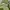 Berghaus Gorpcore Sportswear Windbreaker Pria green gray photo 6