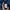 Marmot Gorpcore Sportswear Windbreaker Pria navy photo 7