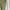 Shein Casual Skirt Wanita green photo 2