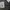 Cargo Pants String Grey Oversize
 photo 3