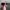 Sunglasses Police photo 6