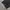 GLW Black Wide Baloon Pants photo 4