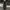 GLW Black Wide Baloon Pants photo 1