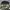 Limit 3c5t45y Camouflage Polar Fleece Jacket photo 6