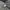 Limit 3c5t45y Camouflage Polar Fleece Jacket photo 7