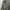 Limit 3c5t45y Camouflage Polar Fleece Jacket photo 2