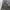 Utility Shoft Shell Military Outdoor Jacket photo 5