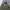 Utility Shoft Shell Military Outdoor Jacket photo 2