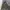 Utility Shoft Shell Military Outdoor Jacket photo 4