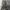 Utility Shoft Shell Military Outdoor Jacket