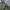 Utility Shoft Shell Military Outdoor Jacket photo 6