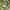 Minimalist Casual Cardigan Wanita green photo 5