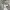 Dickies 1992 Camo Army Cargo Short photo 5