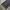 Dickies Cellpocket Workpants photo 6
