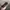 Sunglasses casual photo 4