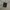 Kaos Vertical Shirt Oversize
 photo 3