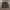 Helly Hansen Casual Short Pria gray photo 1