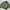 Gorpcore Minimalist Bomber jacket Pria green photo 7