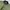 Gorpcore Minimalist Bomber jacket Pria green photo 5