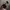 Sunglasses black round photo 3