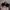 Sunglasses black round photo 2