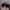 Sunglasses Black Round