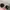 Sunglasses black round photo 5