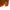 Uniqlo Streetwear Casual Sweatshirt Pria Orange