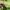 Abercrombie & Fitch Casual Hoody Pria green photo 4