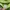 Abercrombie & Fitch Casual Hoody Pria green photo 3