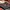 Louis Vuitton Duffle bag red  photo 5