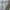 Streetwear Sportswear Windbreaker Pria white navy photo 3