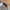 Minimalist Casual Cardigan Wanita cream photo 4
