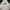 GAP White Broken Hoodie photo 1