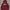 hoodie dickies photo 1