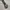 2000s vintage buckle belt photo 6