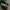Sneakers New Balance WRPD RUNNER Green Phantom photo 2