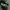 Sneakers New Balance WRPD RUNNER Green Phantom