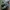 Sneakers New Balance WRPD RUNNER Green Phantom photo 1