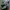 Sneakers New Balance WRPD RUNNER Green Phantom