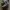 Sneakers New Balance WRPD RUNNER Green Phantom photo 3