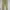 Castelbajac Vintage Y2K Formal pants Pria tan photo 5