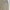 Castelbajac Vintage Y2K Formal pants Pria tan photo 7